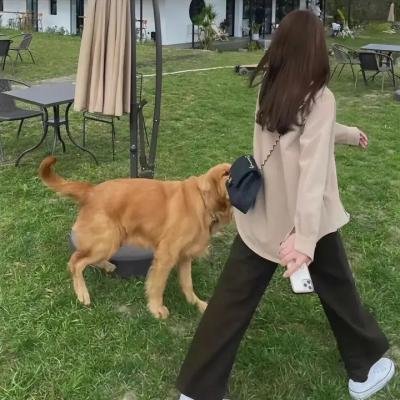 灵魂冲浪人